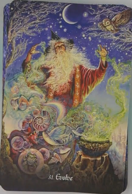 Gratitude Oracle
